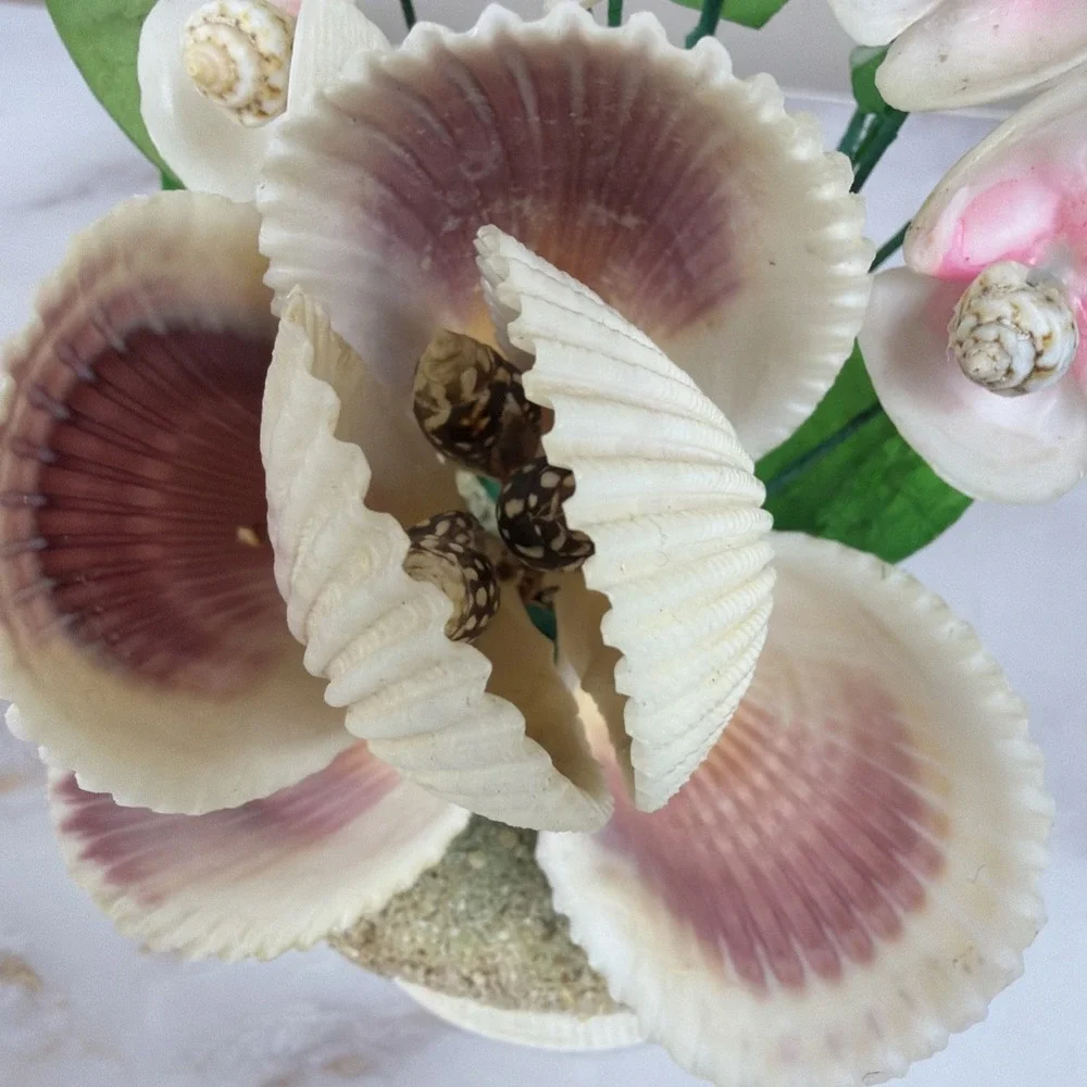 Vintage Sea Shell Floral Bouquet Kitsch Coastal Cottagecore Rare Shell Arrangeme